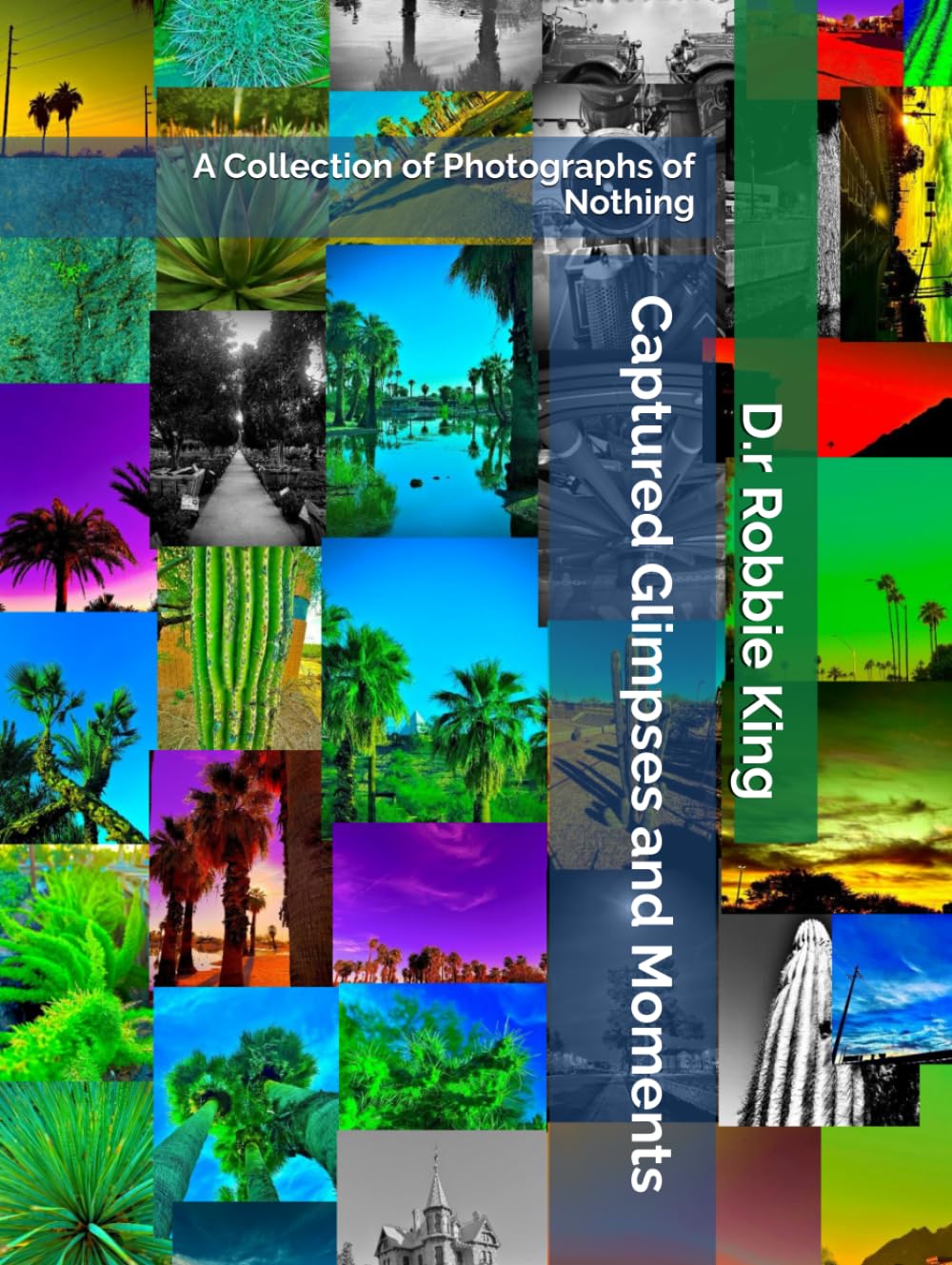Captured Glimpses and Moments: A Collection of Photographs of Nothing