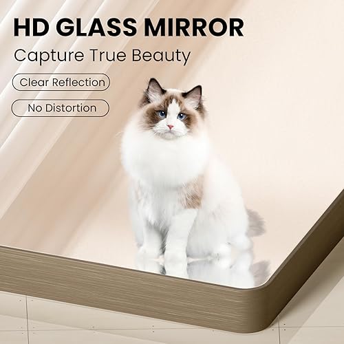 Miniatura 51 de Espejo de baño dorado, 48 x 30 pulgadas, espejo de marco de metal dorado cepillado para pared, espejo rectangular redondeado de tocador de baño