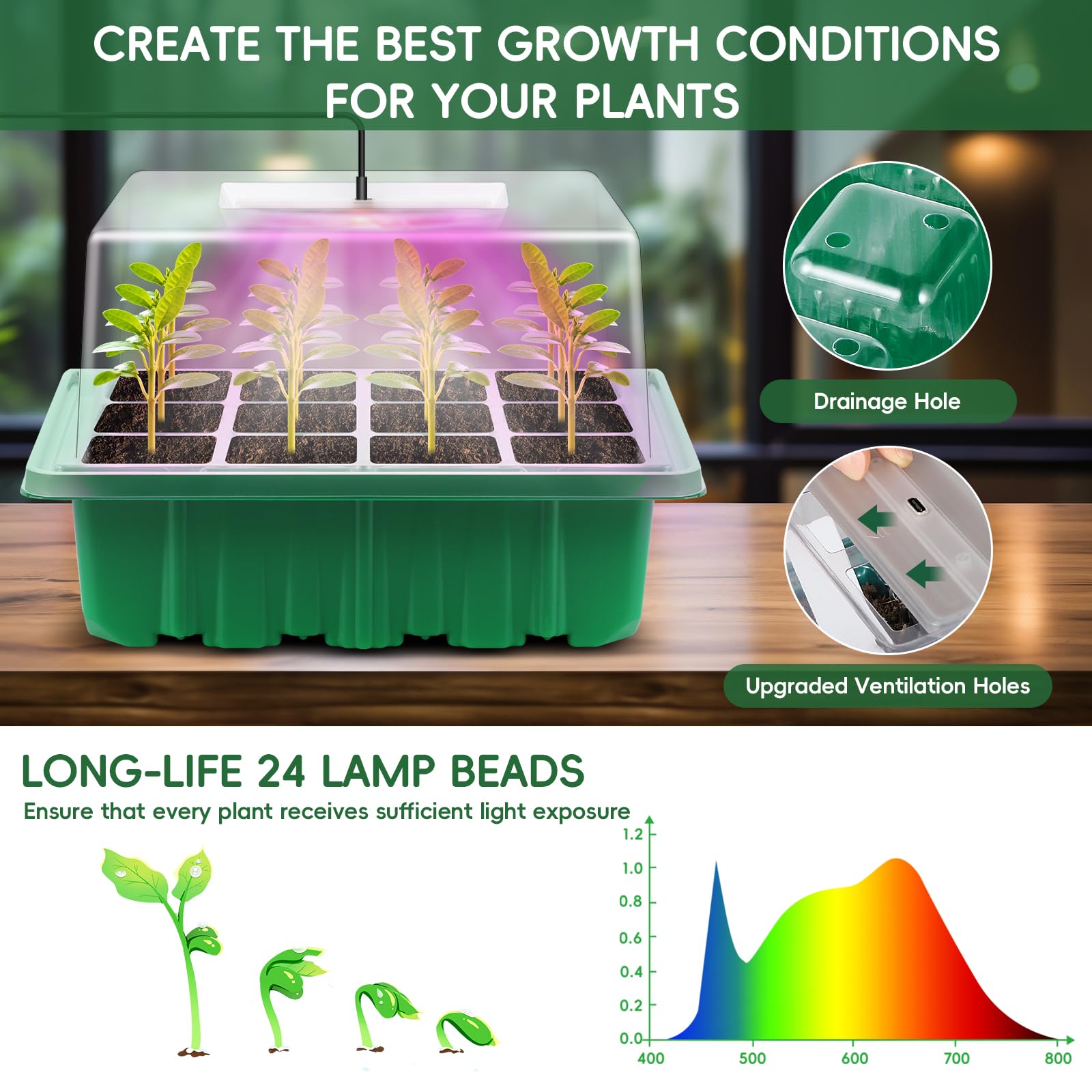 Verdenu Mini Serre pour Plantes avec Lampes de Culture, Tapis Chauffant avec Thermostat, Bac à Semis à 36 cellules avec dôme d'humidité, 3 Modes d'éclairage, Mini Serre Interieur Réutilisable