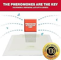 Vista 3 de Catchmaster Trampas para plagas y polillas de despensa, paquete de 6 unidades, mata insectos para almacenamiento de cocina, trampas adhesivas