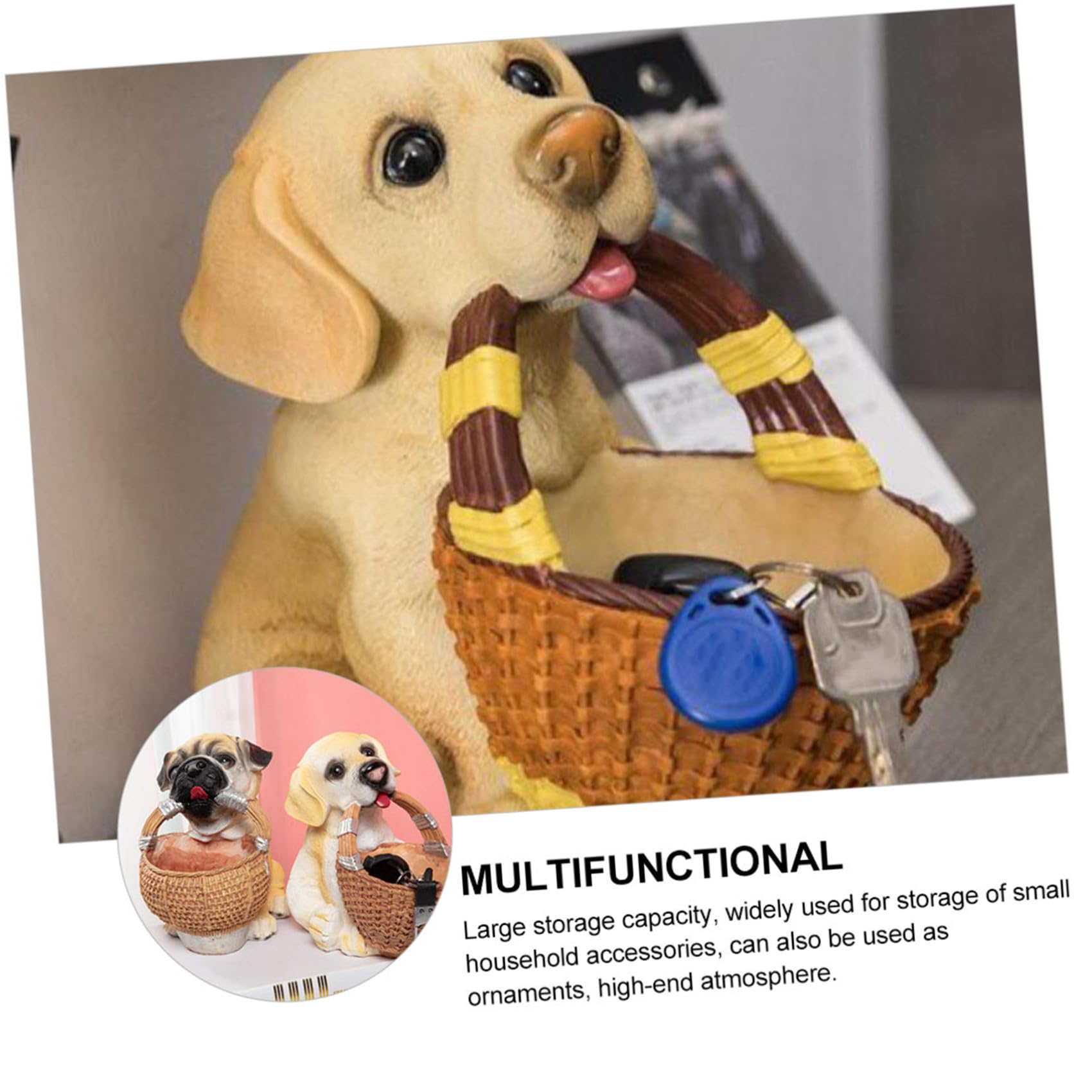 1 Pezzo Scatola Portaoggetti per Decorazione da Unica per Accessori e Gioielli Capacità Stoccaggio Idea per Amanti Animali