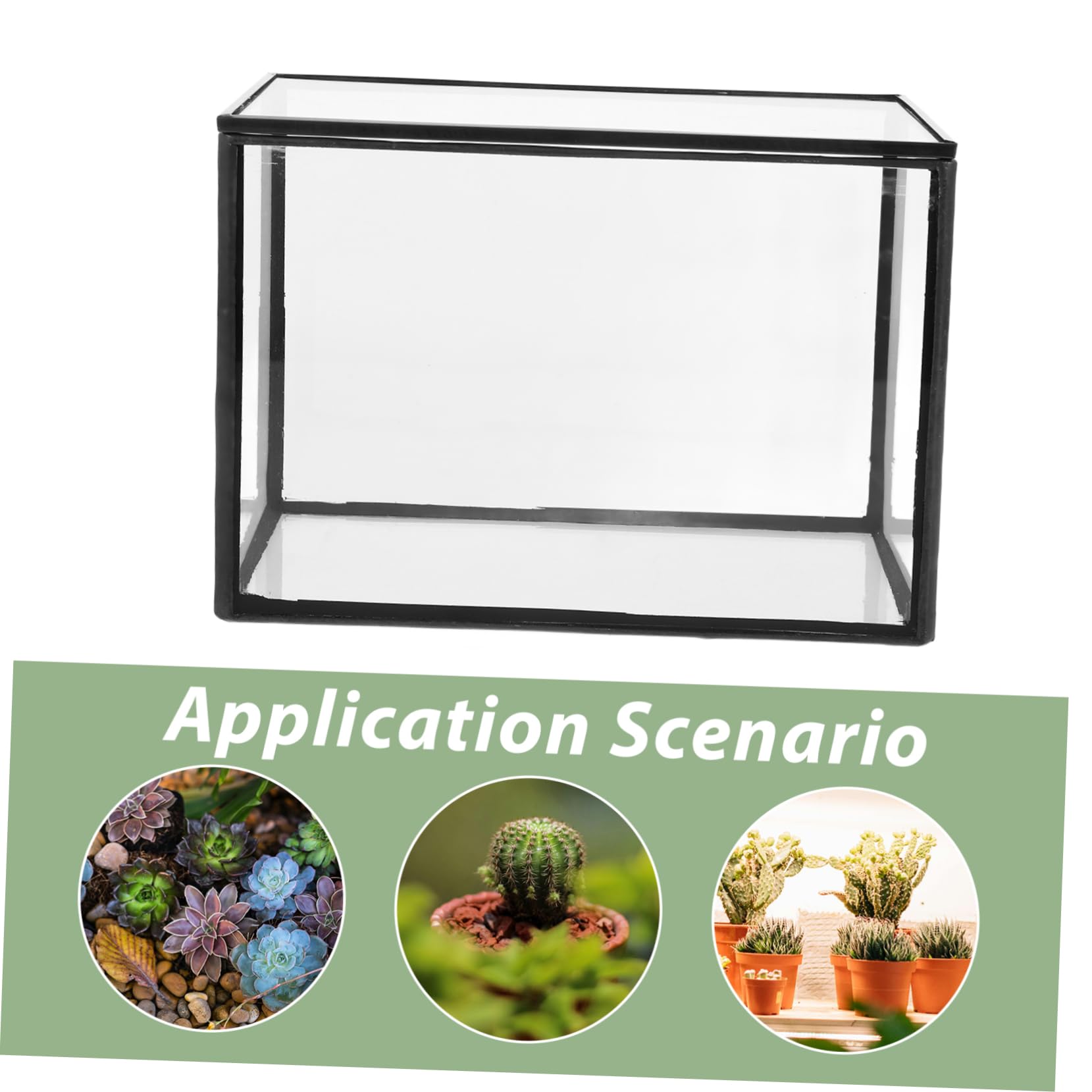 Terrario Per Piante Succulente Contenitore Trasparente Per Paesaggi Design Artistico Per Decorazione Casa e Ufficio Compatte e Leggere Per Progetti e Regali Originali