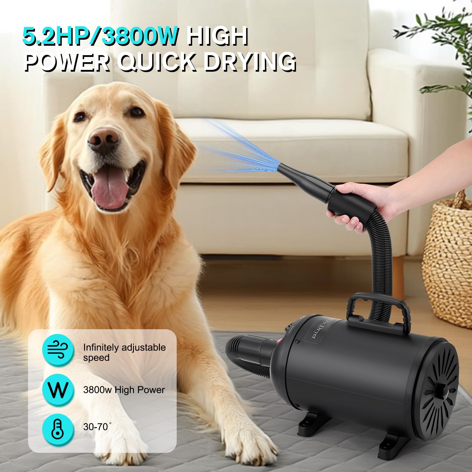 Secador de Pelo de Perro Blaster 5.2 CV / 3800 W, Profesional Secador de Pelo para Mascotas con 4 Boquillas, Velocidad y Calor Ajustables