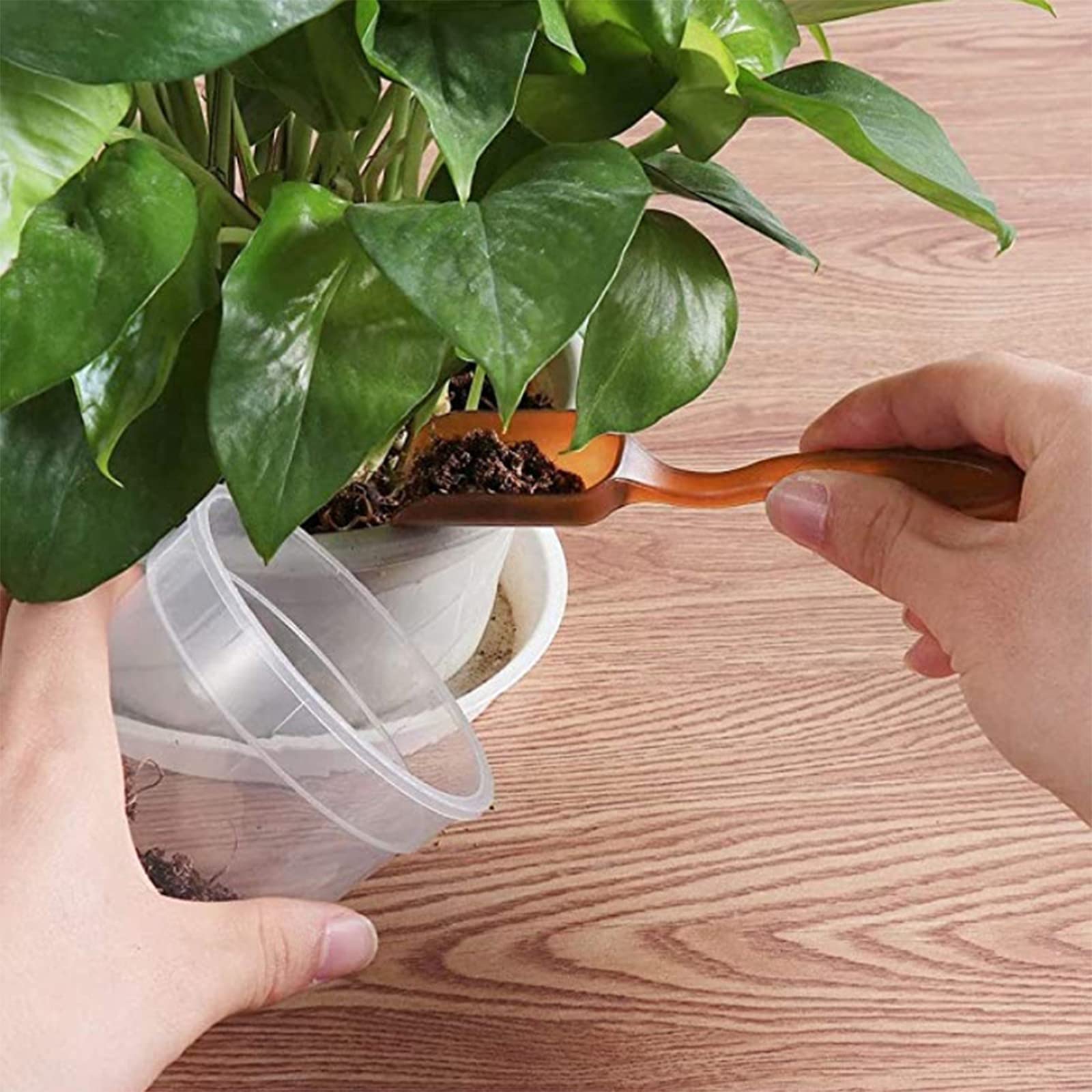 Amazon | ガーデニングツール 多肉植物 寄せ植え観葉植物 ミニ 園芸 