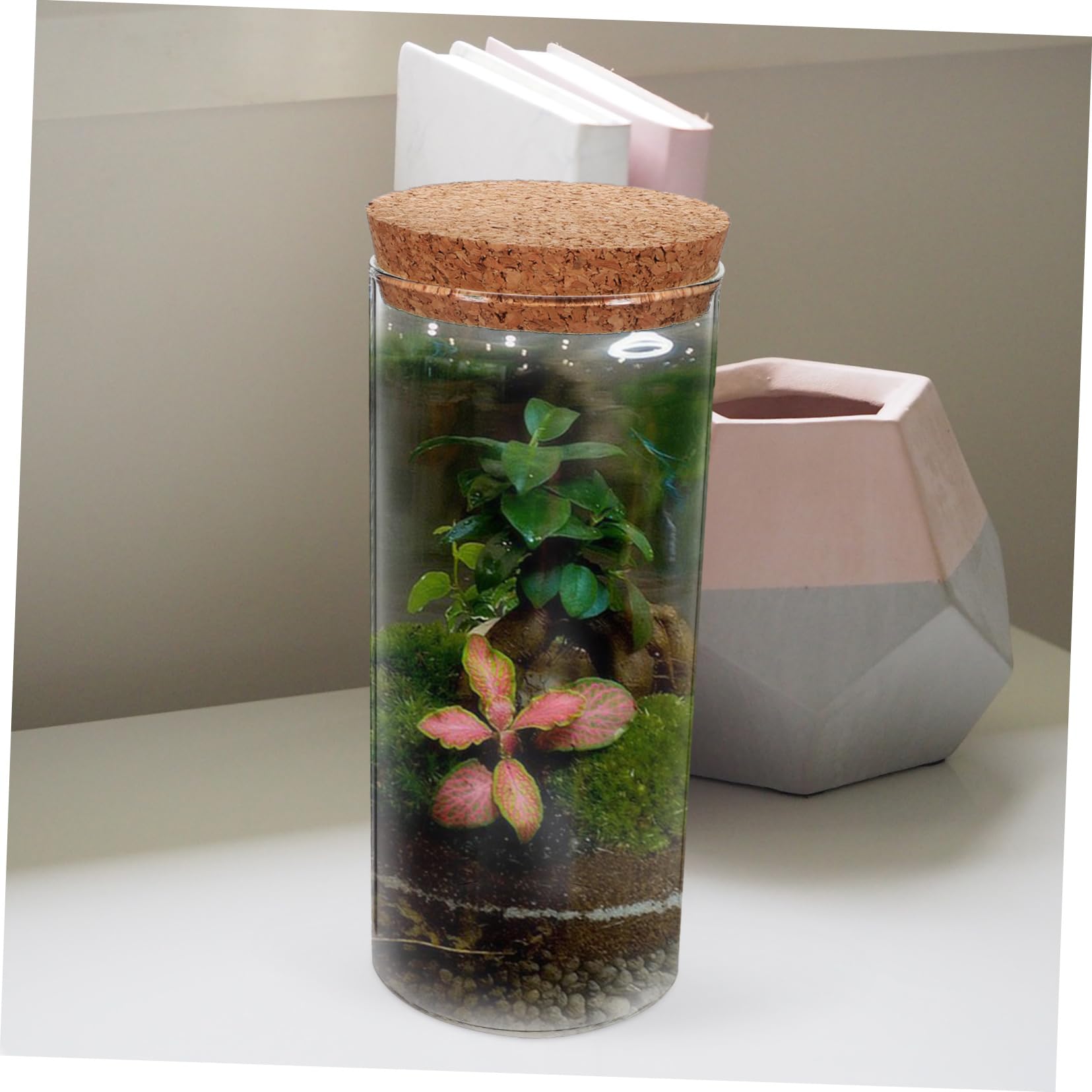 BESPORTBLE 5 Piezas Botella ecologica contenedor de Micro paisajismo Decorativo Terrario de Planta de Aire Botella Multiusos Terrarium Botella Transparente terrario de Cristal con Tapa Vidrio