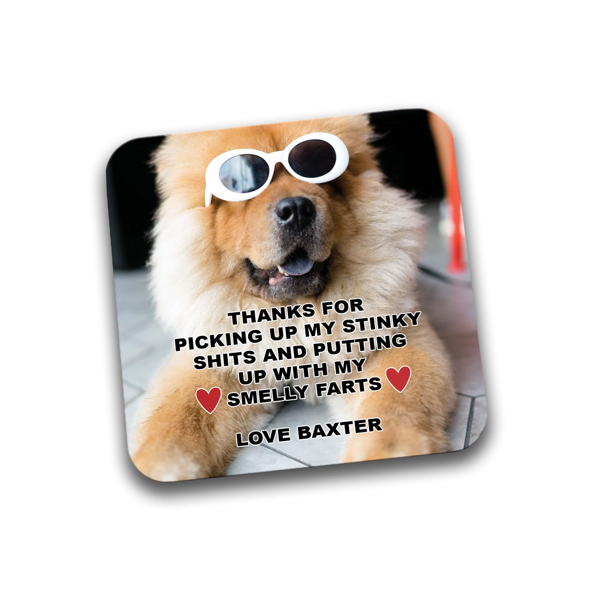 Rib Ticklerz - Personalised Funny Photo Coaster From The Dog - Thanks For Picking Up My Stinky Shits Smelly Farts Dog Mum Present - DC85