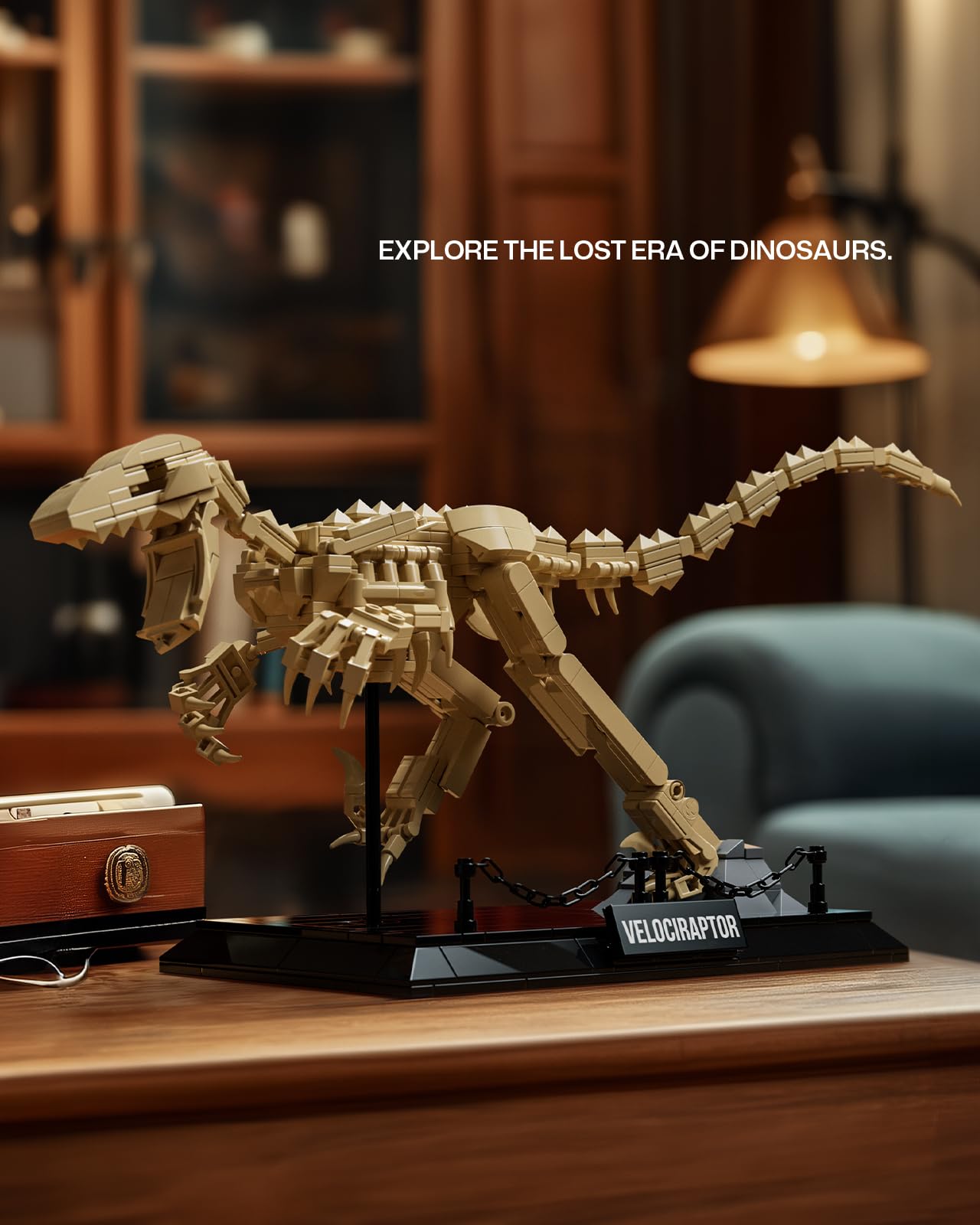 Nifeliz Maquette Fossile Velociraptor, Kit Construction Squelette Dinosaure avec Support 498 pièces