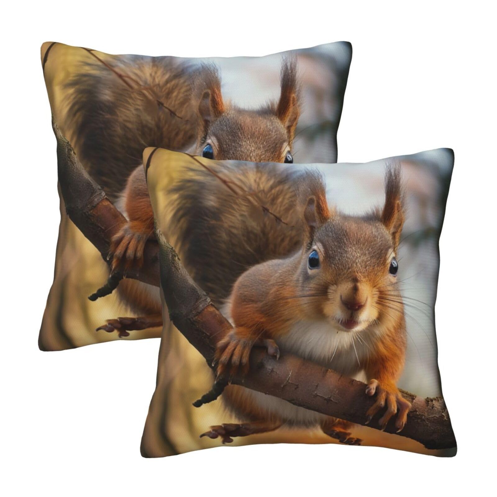 Squirrel Funny Animal Throw Pillow Cases 2 Pack Square Pillowcases Soft Pillow Protectors for Couch Livingroom Sofa Bed Office Car,30x30 CM