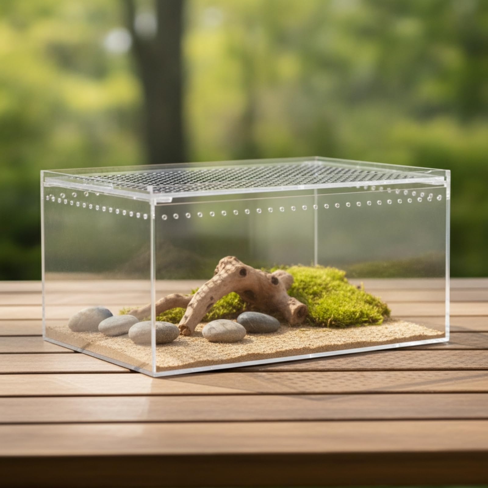 Terrario in Acrilico per Rettili Piccoli Animali Trasparente con Aerazione Continua Coperchio Comodo Adatto a Allevamento Domestico Scrivania Scaffale Tavolino, 30 20 15