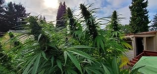 Review Image by Colin Kelly Colin Kelly