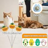 Ver la foto 5