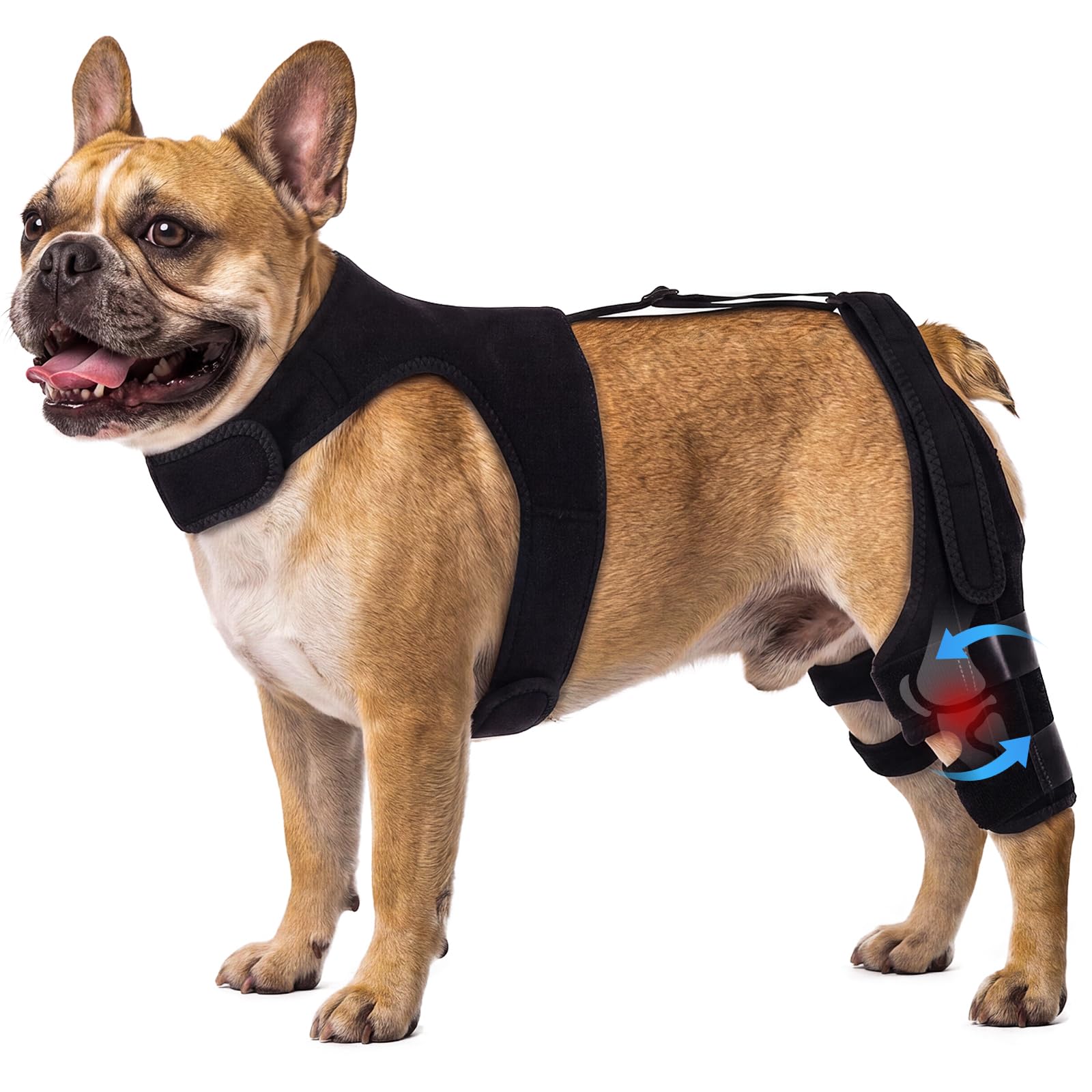 LeLePet Dog Knee Brace with Harness Support, Hip & Hind Leg Stabilizer, S