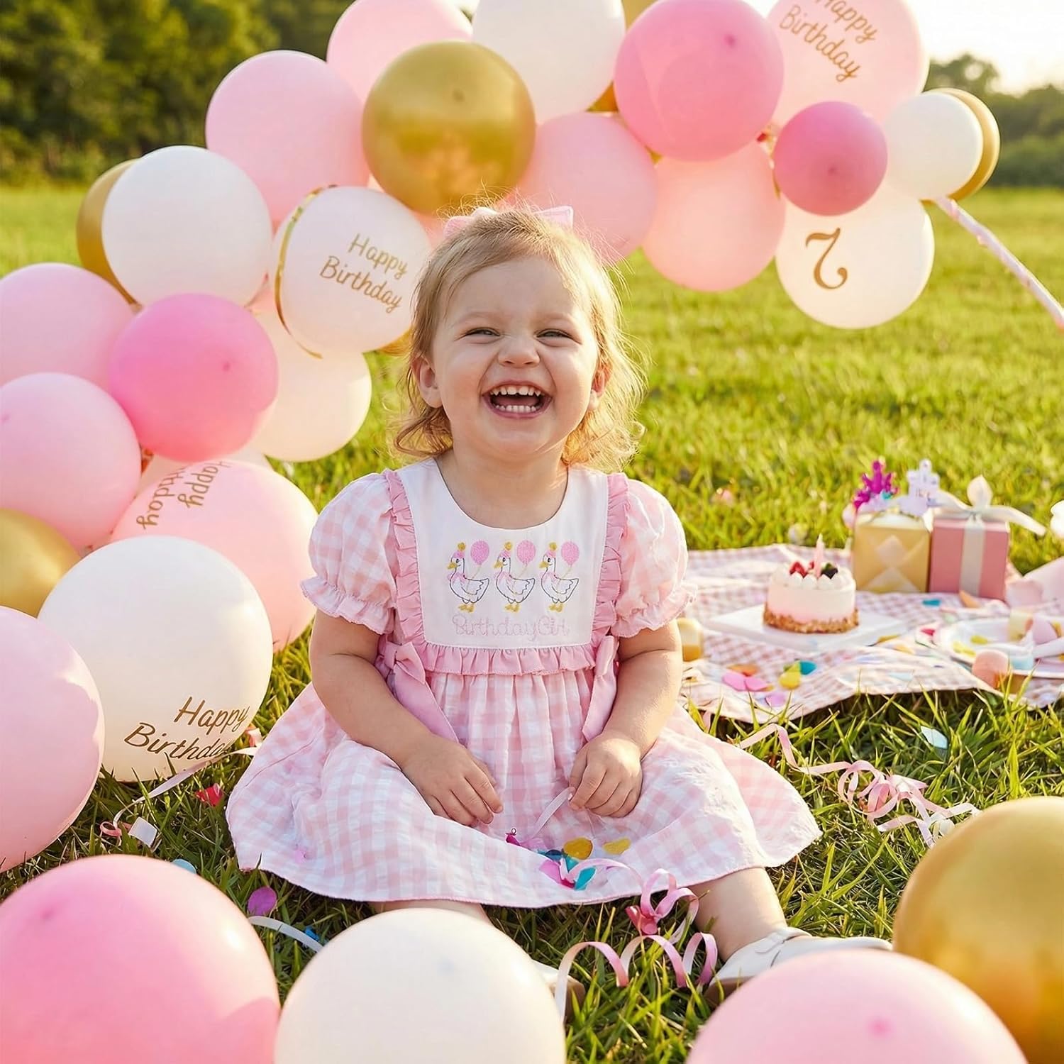 Toddler Baby Girl Birthday Outfit Silly Goose Smocked Dress Short Sleeve Birthday Girl Dress Cute Cake Smash Outfits - Image 2