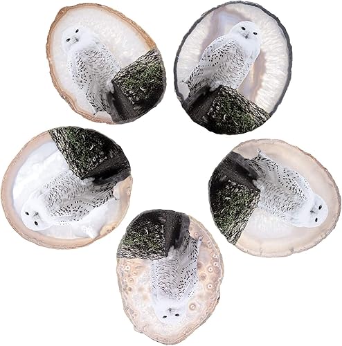 Miniatura 3 de Amogeeli Cristal de ágata geoda natural para decoración del hogar de oficina, impresiones artísticas piedra decorativa con soporte