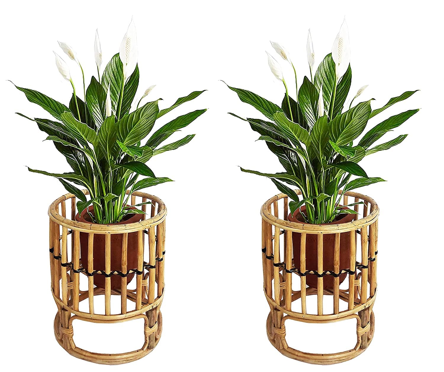 Avika Bhatiacane Indoor Outdoor Handcrafted Bamboo Cane Planter Stand (Set of 2) (B0BJ2617H5) Amazon Price History, Amazon Price Tracker
