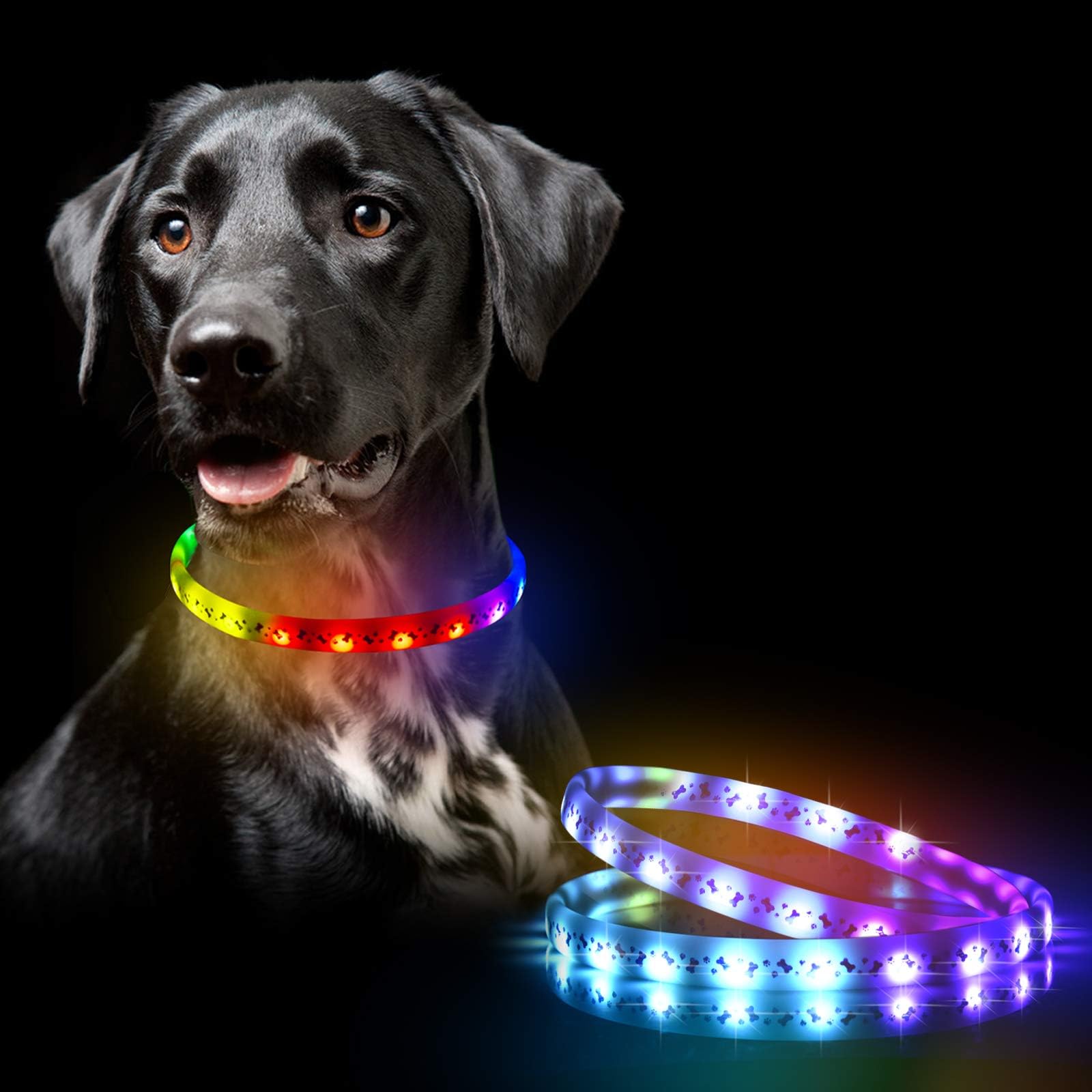 dog collar lights amazon