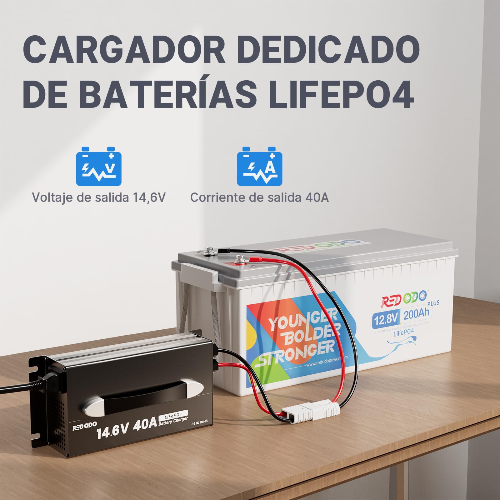 Redodo 14,6V 40A LiFePO4 Cargador de Batería, Cargador de Batería LiFePO4 Dedicado, Diseño Compacto y Duradero con Protección Completa, 12V LiFePO4 Baterías