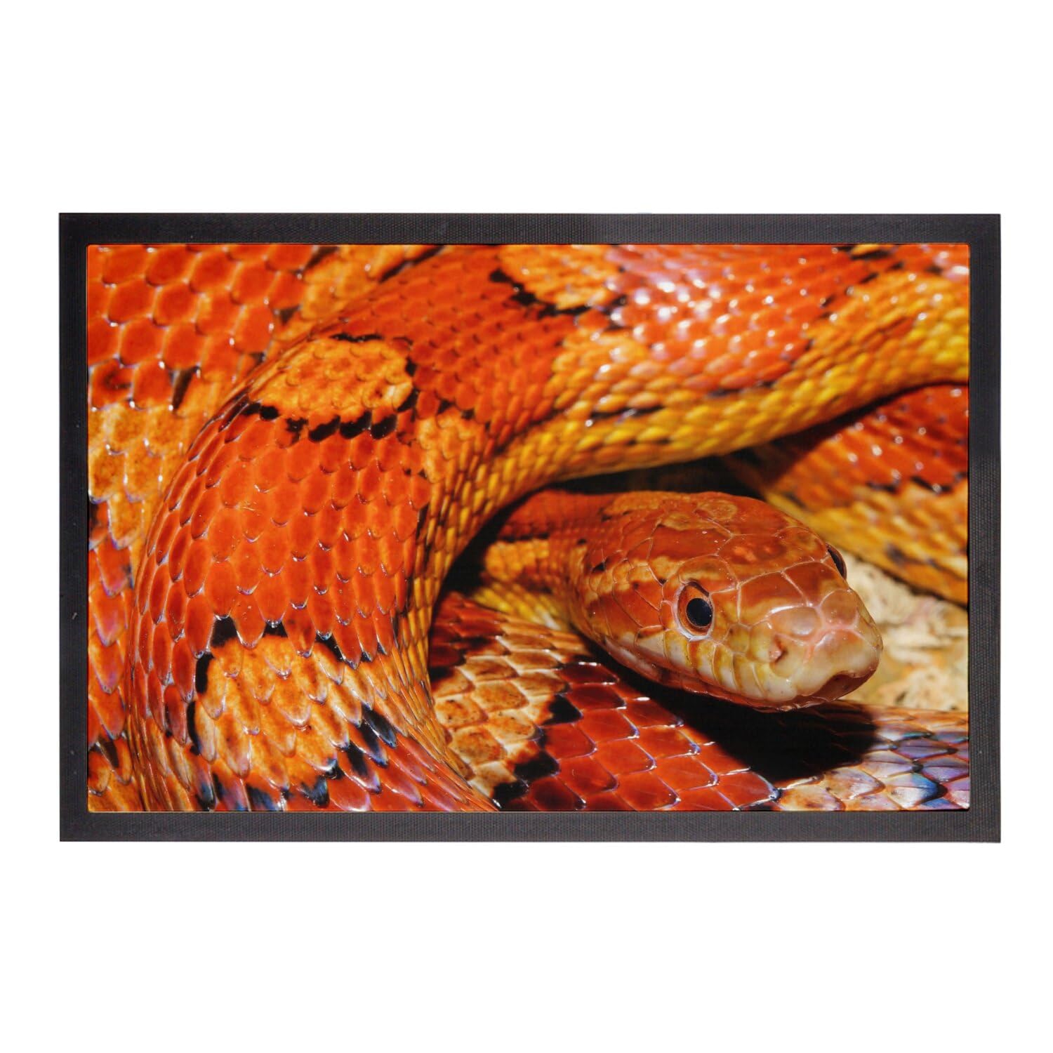 Paillasson Serpent des Blés tapis entrée orange jaune 60x40