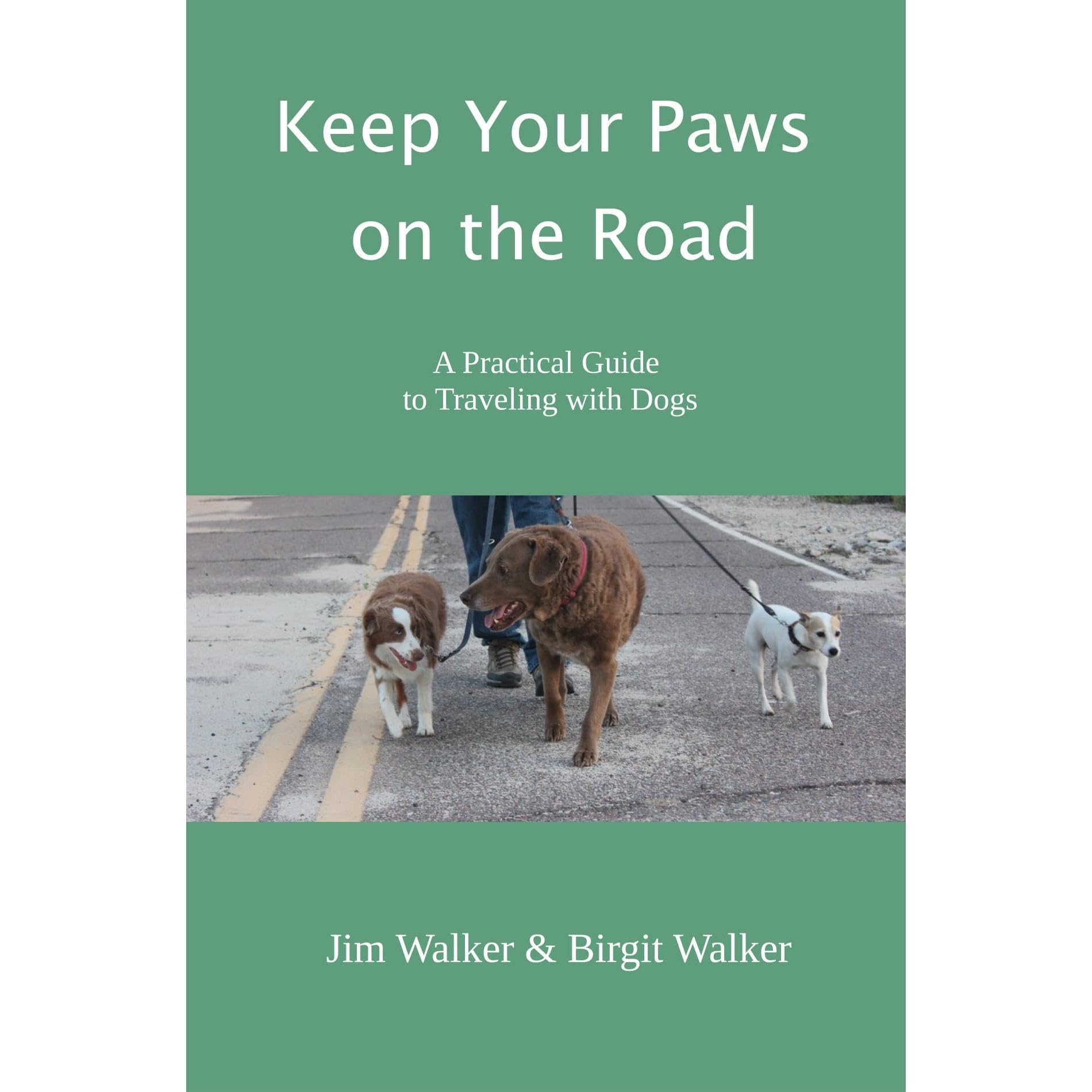 Keep Your Paws on the Road