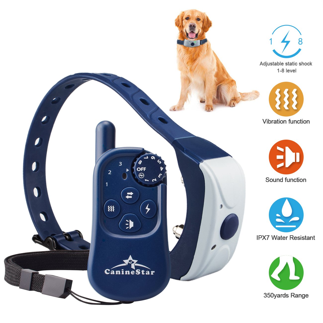 electric training collar for large dogs