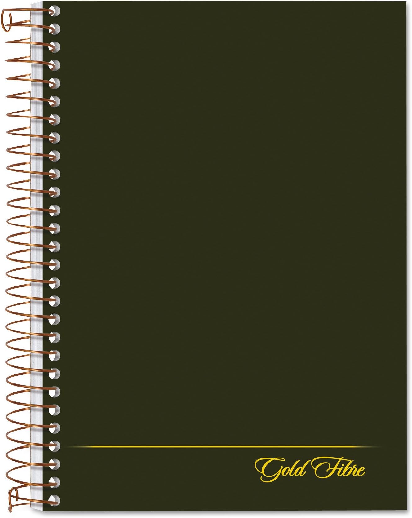 Ampad Gold Fibre Classic Series Personal Notebook, Page and Date Headings with Pocket Cover, Medium Ruling, 100 Sheets (20-801R),White,7" x 5"