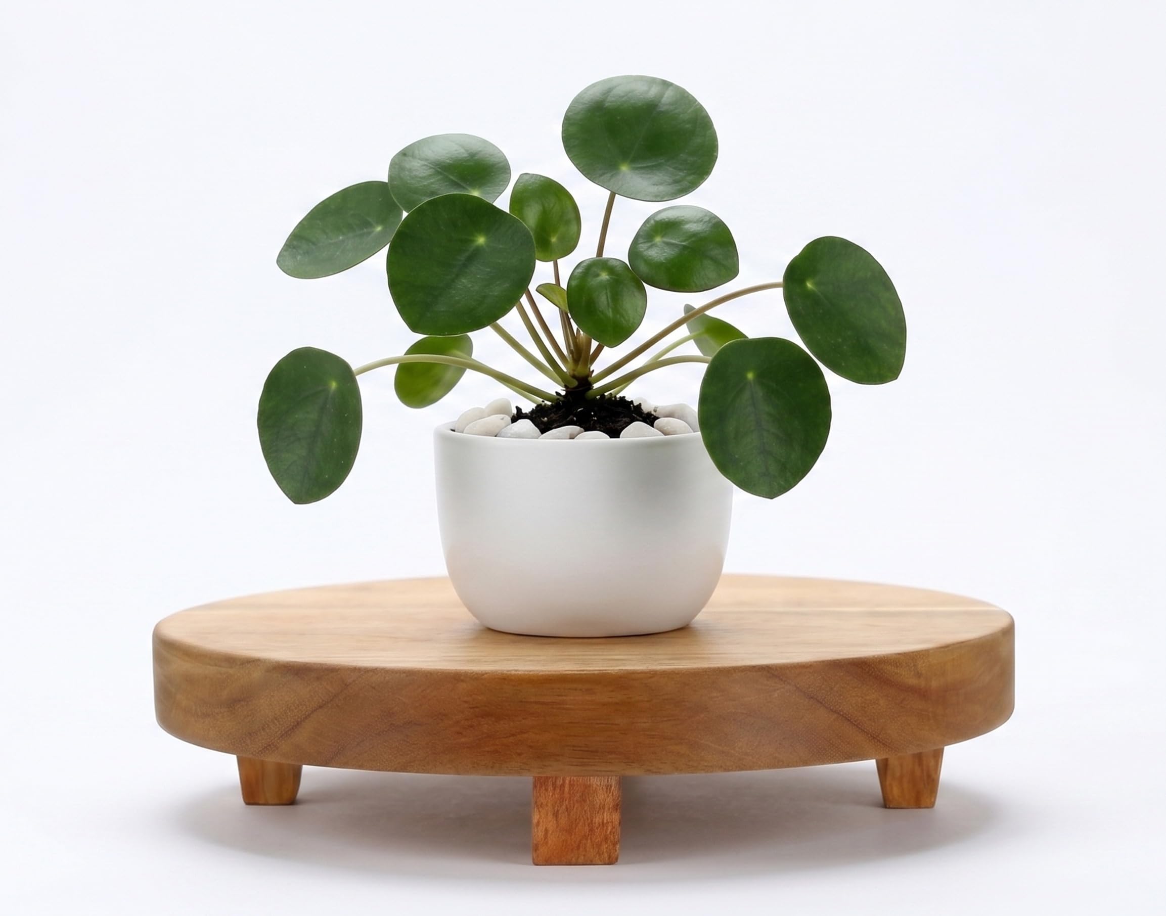 Spiretro 22.8 cm (9-Inch) Round Footed Acacia Wood Pedestal & Serving Stand | Kitchen Display | Plant Holder