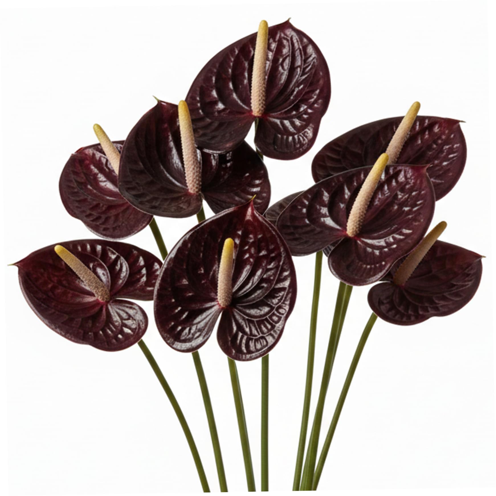 Lcarege 8pcs Anthurium Artificial Flowers, Lifelike Faux Anthurium with Bendable Stems for Home Table Wedding Christmas Decor (24.4 Inch)