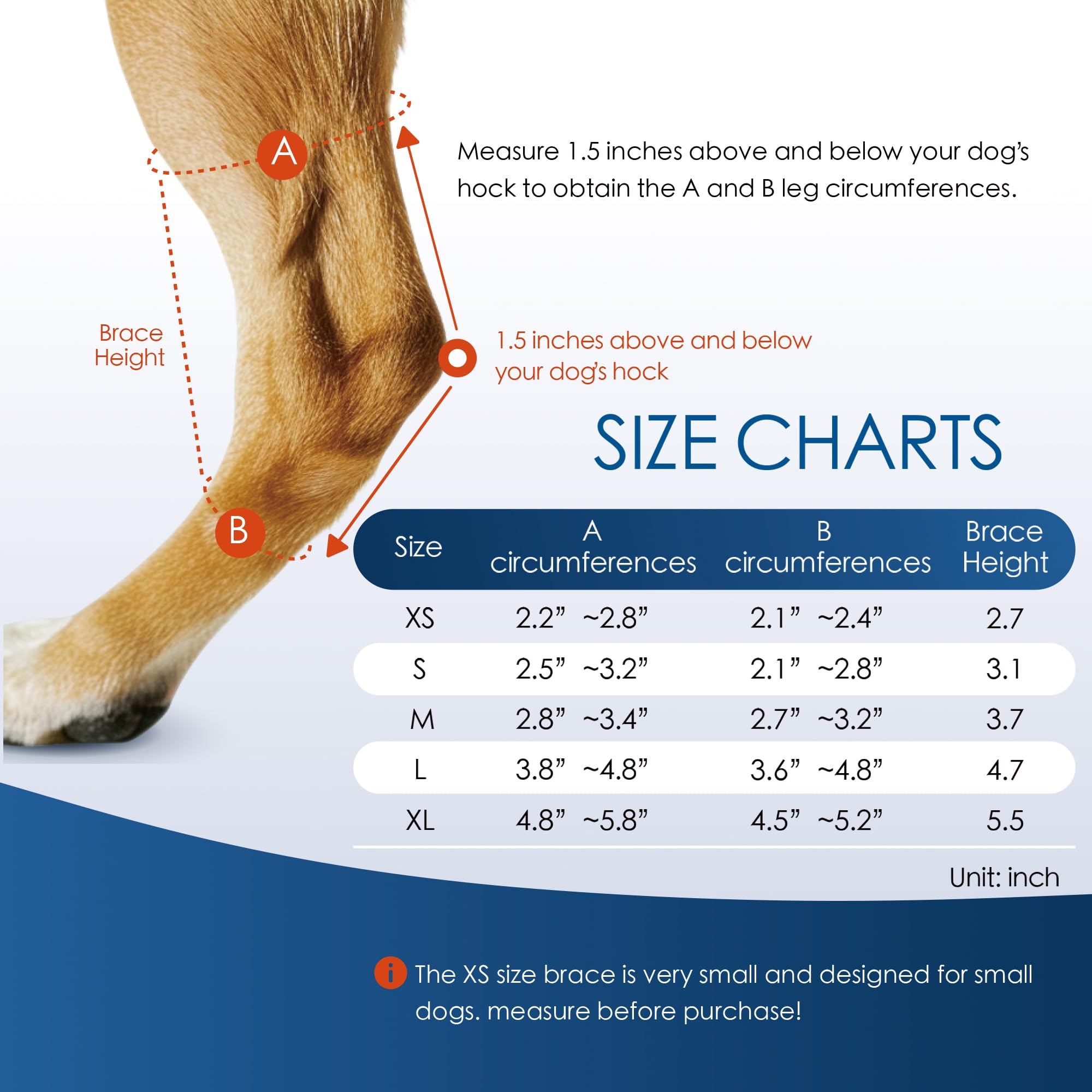 Dog Knee Brace for Torn ACL Hind Leg and Luxating Patella Canine Rear Hock Joint Support, Joint Injury and Sprain Protection - Image 4