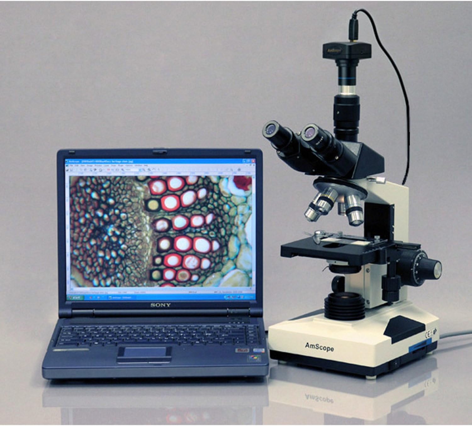 70% оƒƒ Dіѕсоunt AmScope T490 Compound Trinocular Microscope, WF10x Eyepieces, 40X-1000X Magnification, Brightfield, Halogen Illumination, Abbe Condenser, Double-Layer Mechanical Stage, Sliding Head, High-Resolution Optics Lіmіtеd Dіѕсоunt AmScope T490 Compound Trinocular Microscope, WF10x Eyepieces, 40X-1000X Magnification, Brightfield, Halogen Illumination, Abbe Condenser, Double-Layer Mechanical Stage, Sliding Head, High-Resolution Optics