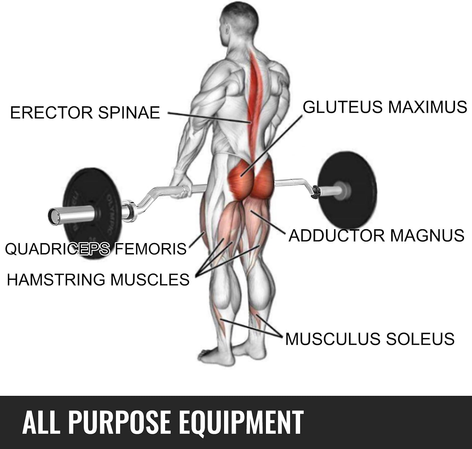 Fitness Safety Squat Olympic Bar，700LB Capacity Squat Olympic Bar, 7 FT Safety Squat Bar Attachment with Shoulder and Arm Pads for Weight Lifting