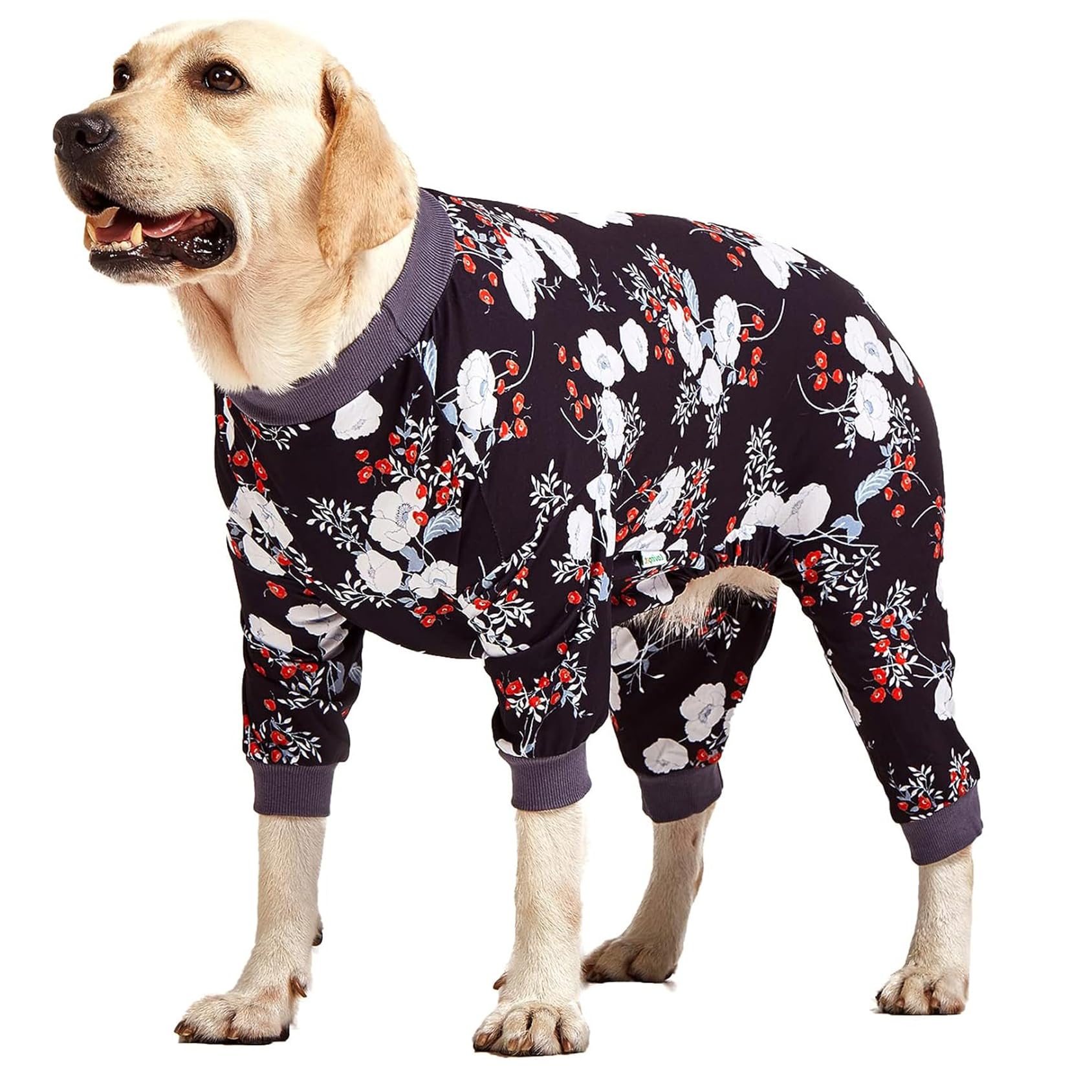 LovinPet Medium/Big Breeds Large Dog Pajamas, Anti Licking, Wound Care/Post Surgery Dogs Pajamas, Lightweight Stretchy Fabric, Beautiful Bouquets