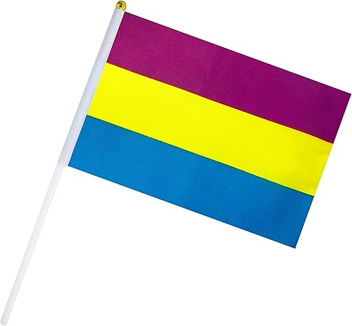 Miniatura 4 de Paquete de 50 banderas pansexuales del orgullo del arco iris, pequeña bandera de mano, bandera de Estados Unidos, decoración de fiesta pansexual