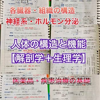 歯科医師国家試験対策ノート　コピー版 Amazon.co.jp: 歯科医師国家試験、CBT、歯学部定期試験対策解剖学＋