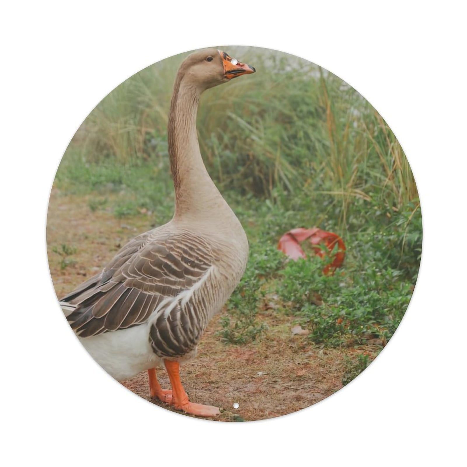 Animal Goose Vintage Metal Tin Sign Plaque Wall Decor for Cafe, Club Bar, Office, Garden Metal Poster 8x8Inch