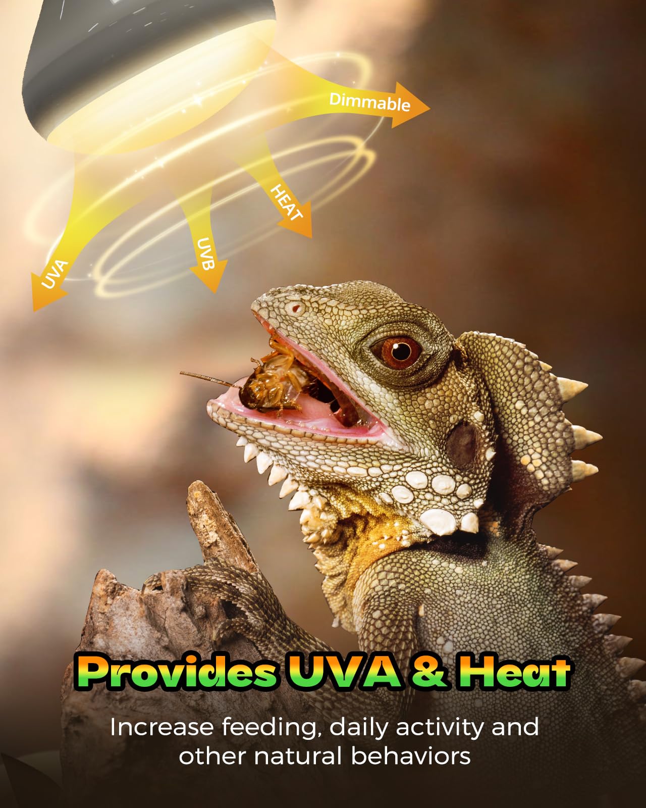 Reptile Heat Lamp 2 Pack, Heat Lamp Bulbs for Reptiles, Amphibians Basking Heat Lamp Bulbs, UVA Daylight Basking Light for Reptiles, Turtle, Bearded Dragon, Lizard Heating - 5