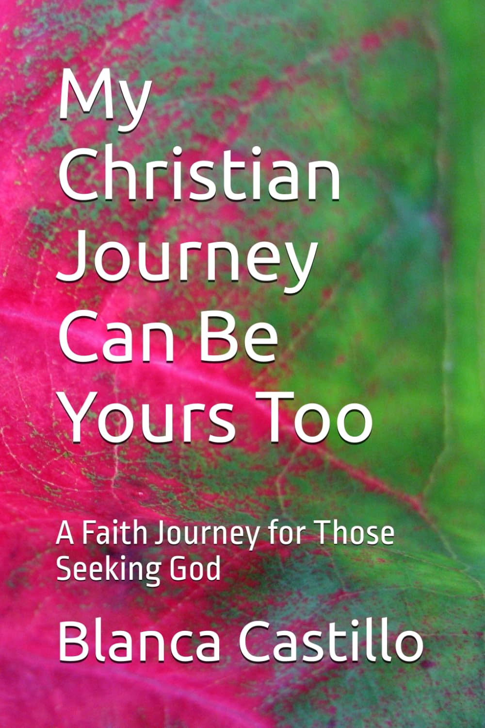 My Christian Journey Can Be Yours Too: A Faith Journey for Those Seeking God