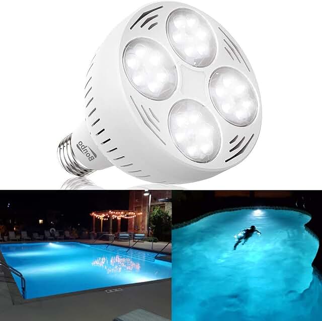 Amazon.ca 12V Pool Light Bulb