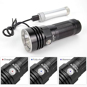 THRUNITE TC20 V2 懐中電灯 Amazon.co.jp: ThruNite（スルーナイト） TC20 V2高輝度LED充電