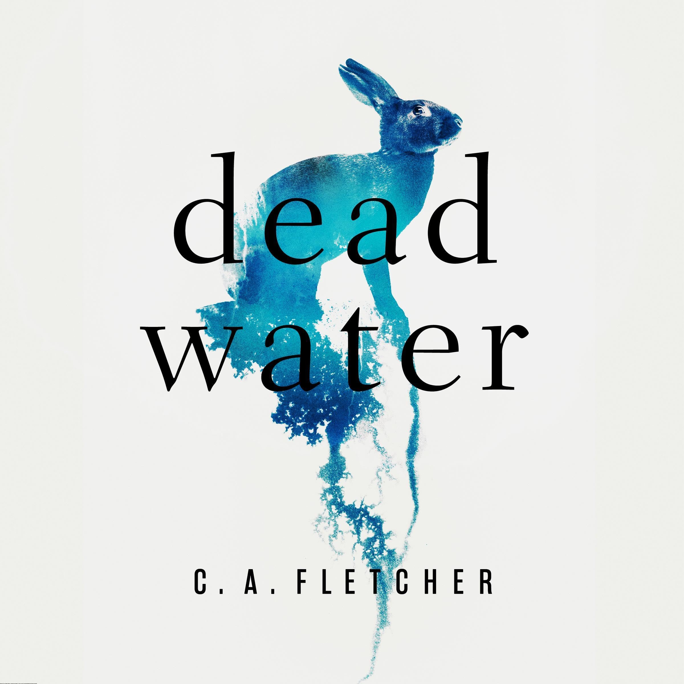 Cover art for Dead Water