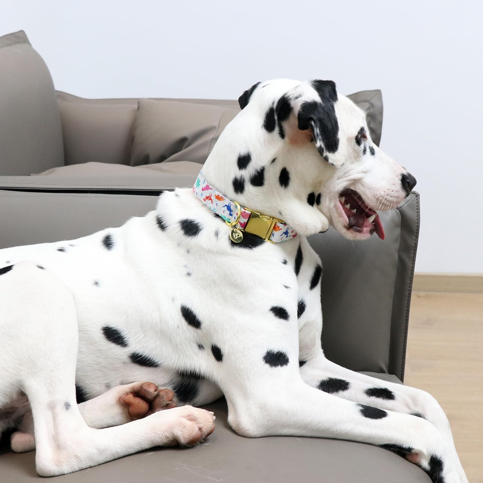 Dinosaurier Hundehalsband Aus Baumwolle – Verstellbar Mit Metallschnalle | Für Kleine, Mittlere & Große Hunde