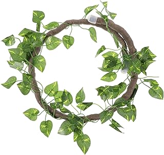 CIYODO 1 Conjunto De Videiras Para Paisagismo De Animais De Estimação Plantas Em Miniatura Plantas Falsas Recipientes De Vidro Rede Videiras Da Selva Aquário Esconderijo Lagarto