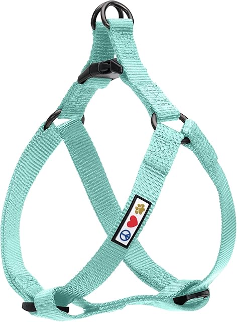 Pawtitas Pet Solid Color Step In Dog Harness or Vest Harness Dog Training Walking of your Puppy Harness Small Dog Harness Teal Dog Harness