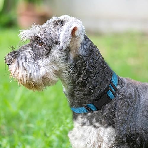 Vista 105 de Joytale - Collar reflectante para perro, collar de nailon transpirable con acolchado de neopreno suave para mascotas, ajustable para perros verde