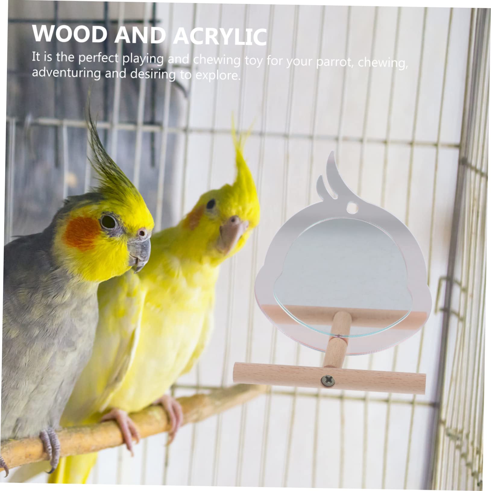Yardwe 5St Papageienbarsch Spielzeug für Papageienkäfige Zweige des Papageienständers Vogelkäfigständer Haustier-Spiegelspielzeug Käfig Vogelspielzeug Vogelzubehör Vogel Steht Acrylsäure