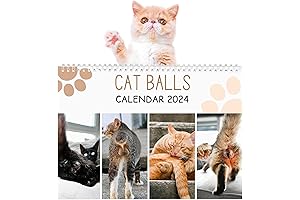 2024 Wall Calendar: Your Go-To Gift for Feline Enthusiasts