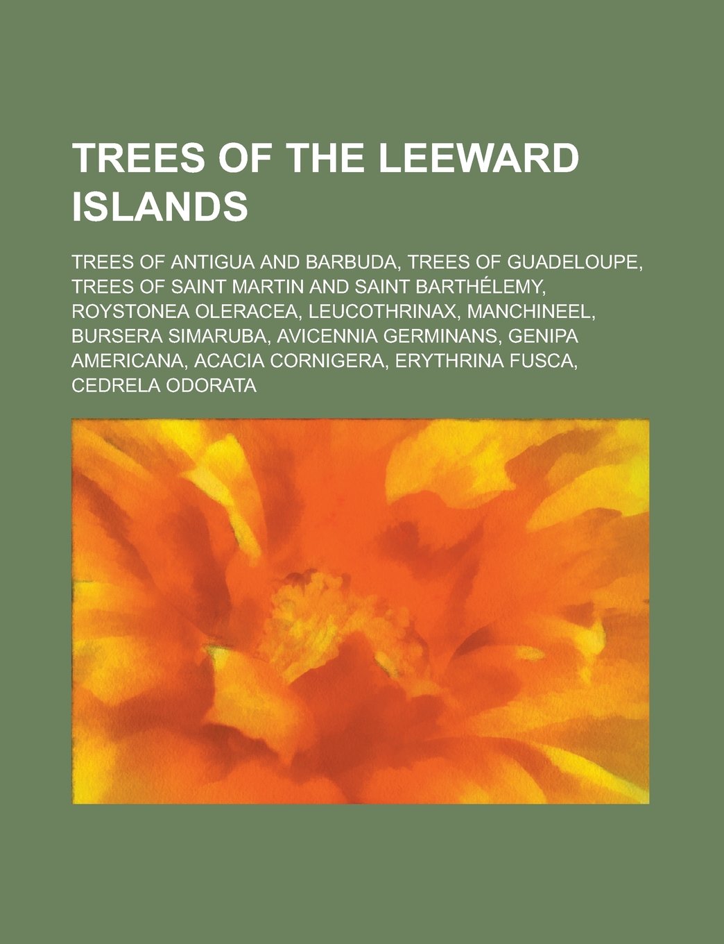 Buy Trees of the Leeward Islands Trees of Antigua and Barbuda, Trees