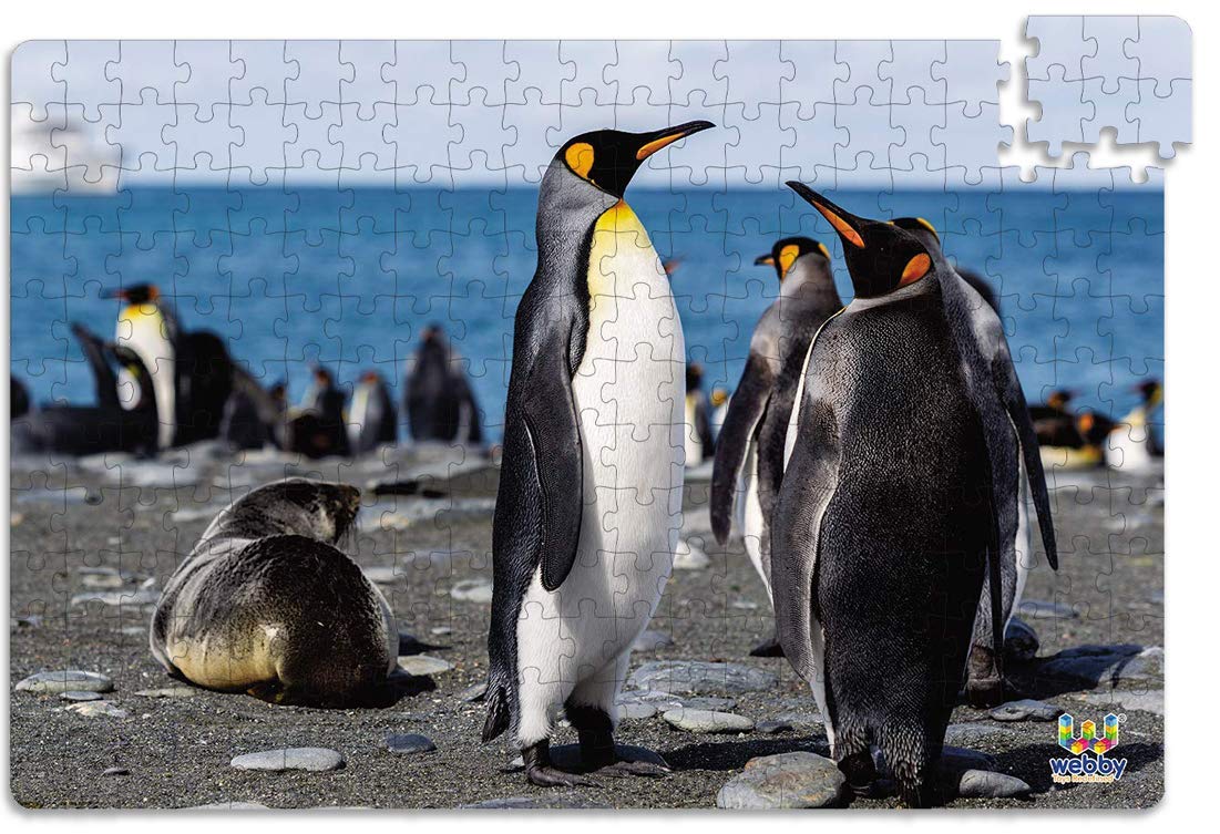 Webby Penguins On Seashore Wooden Jigsaw Puzzle for Kid, 252 Pieces (B08HHB8M9M) Amazon Price History, Amazon Price Tracker