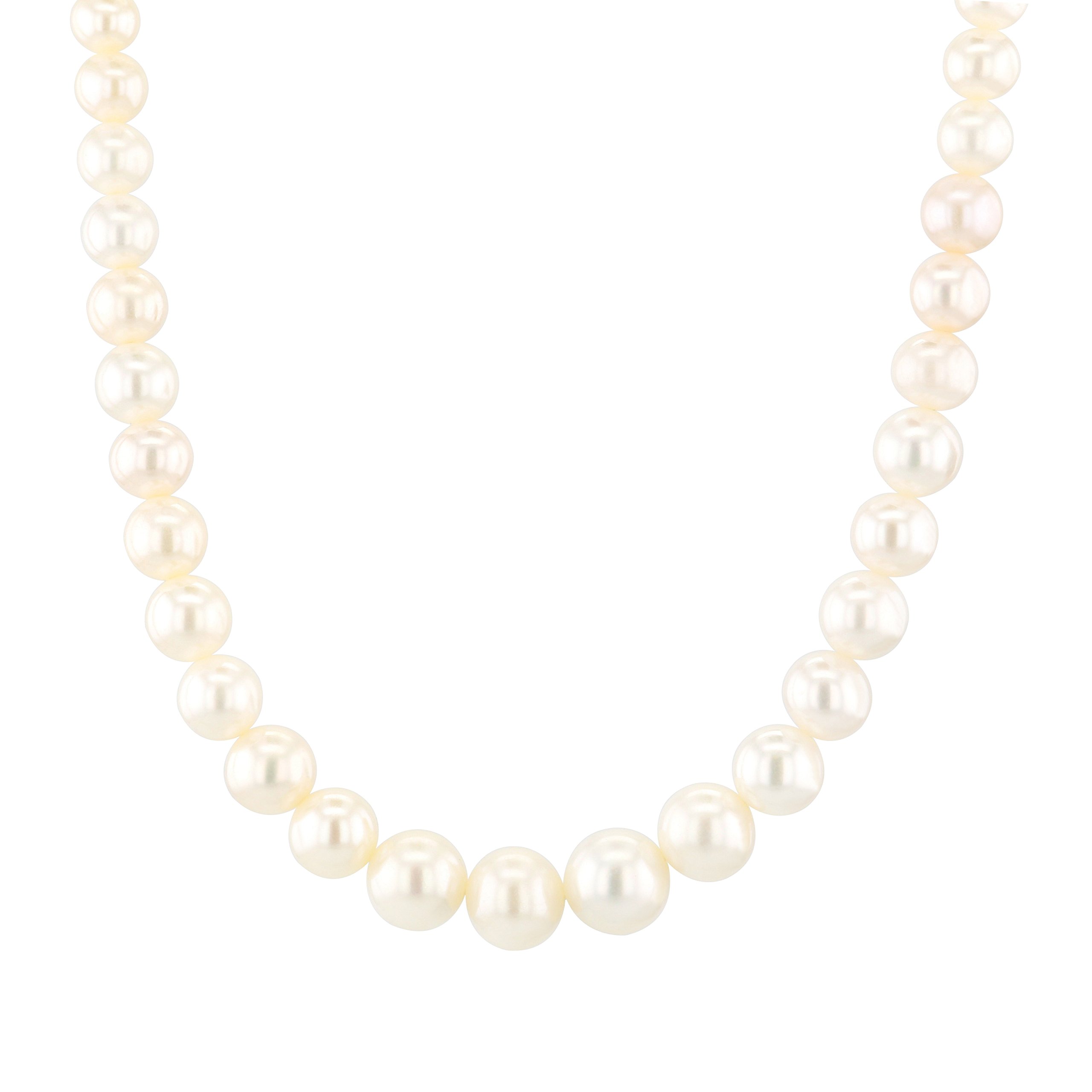 TJH Collection9ct Gold 16" Graduated Freshwater Pearl Necklace POZ827SD