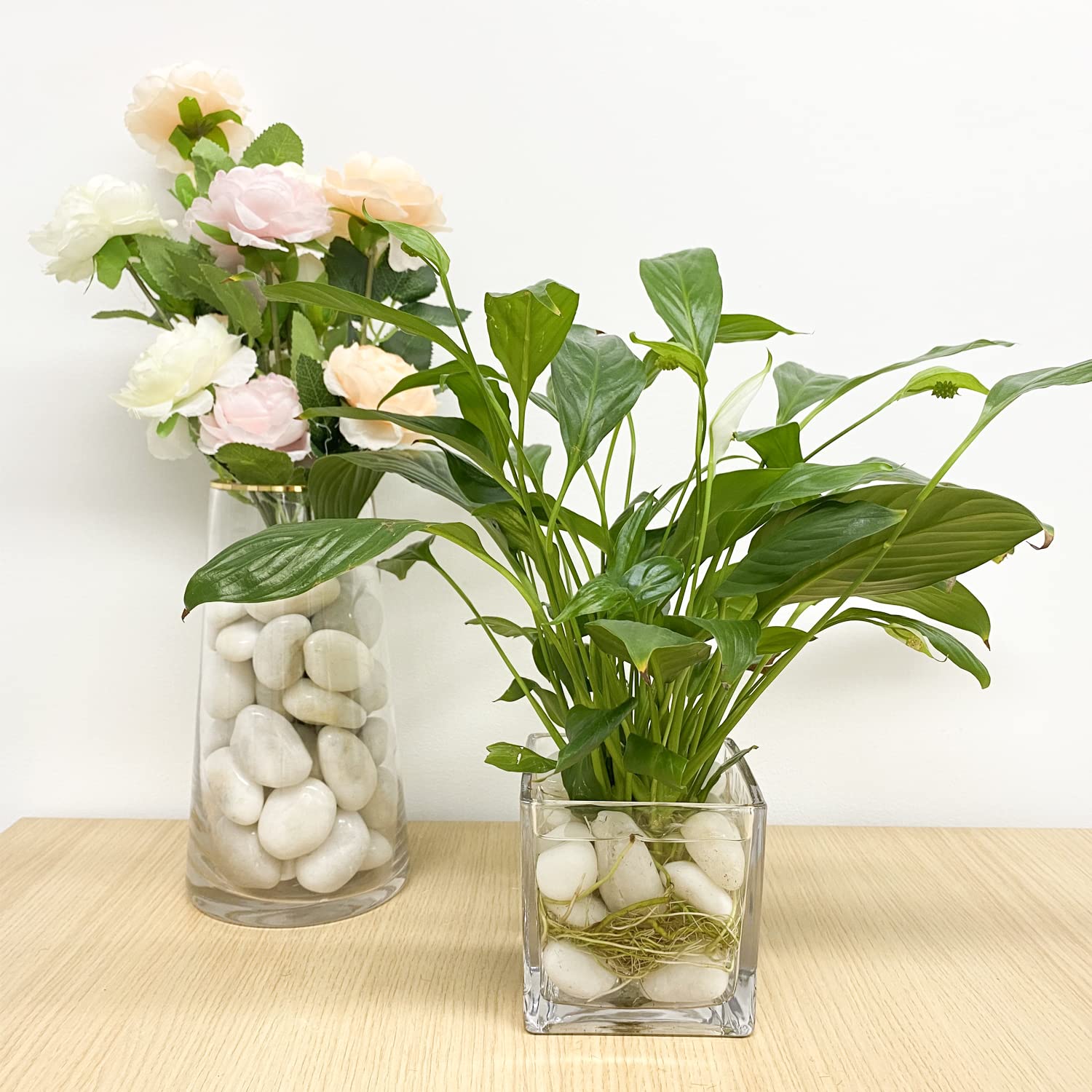 FANTIAN 10lb White River Rocks for Outdoor Landscaping, 0.8-1 Inch Natural Decorative White Stones for Planters, Vases, Garden, Terrarium, Top Dressing and Plant Bottem Drainage