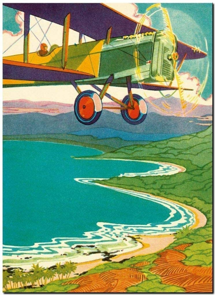 rayprint Retro Vintage Metal Plaque Tin Sign Hawaii Bi-plane Tour For Home Garage Bar Kitchen Pub Wall Art Decor Signs 12x8inch